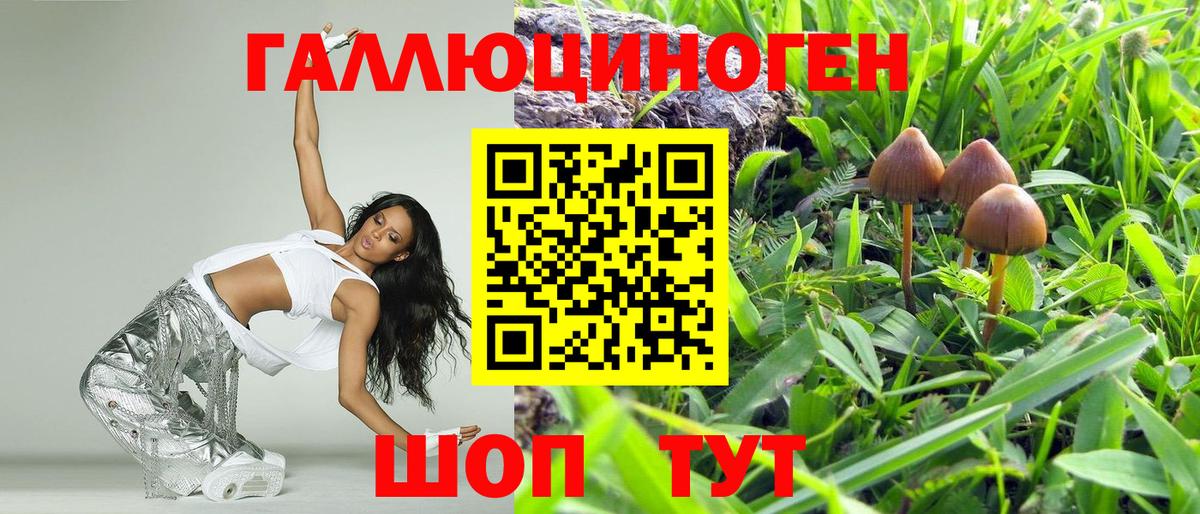 Ивантеевка  Псилоцибиновые грибы Magic Shrooms  Вход с VPN 
